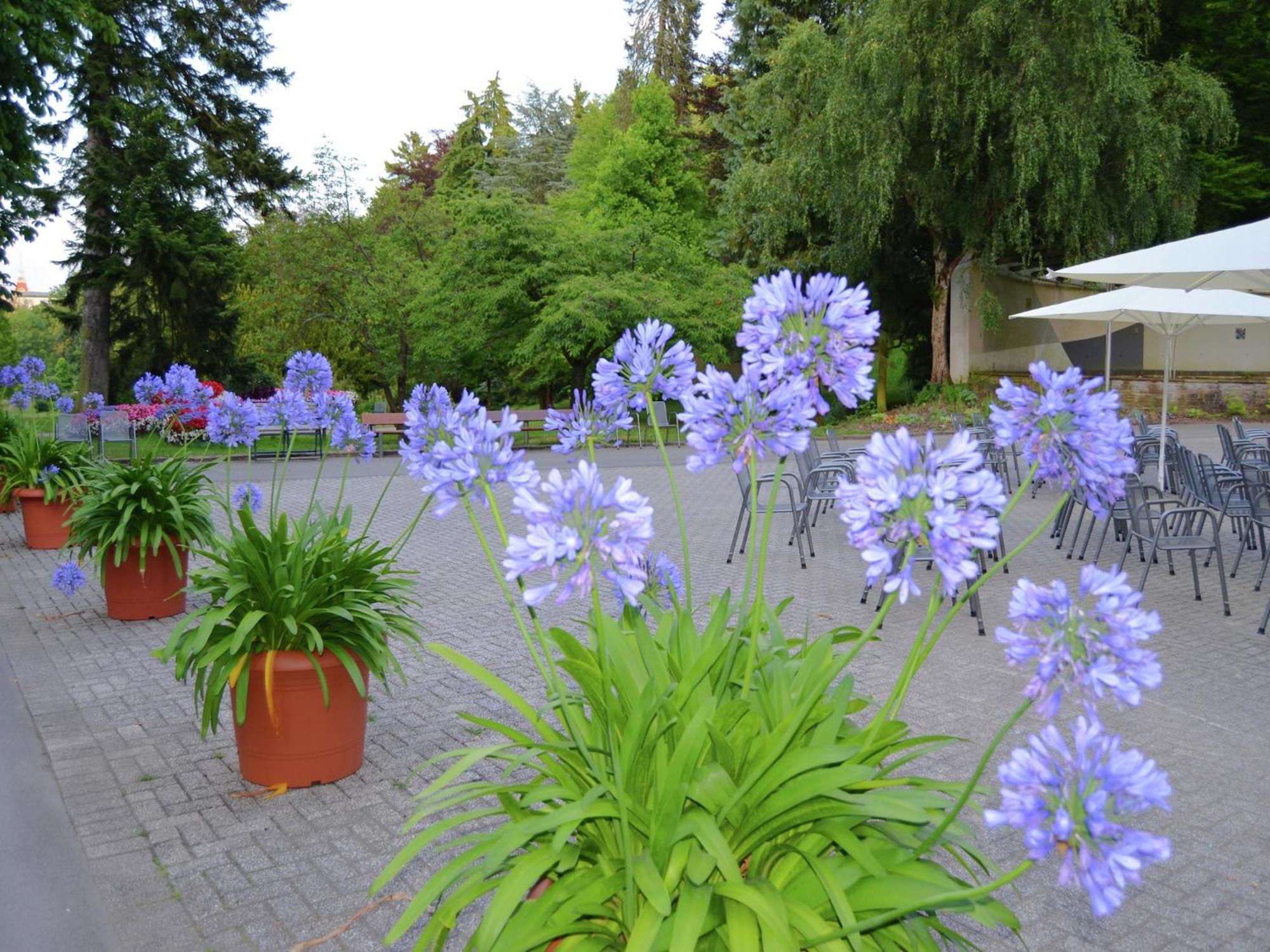 Charming Apartment With Private Terrace Bad Wildungen Εξωτερικό φωτογραφία